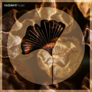 REDOLENT 95_COVER_3000X3000HD